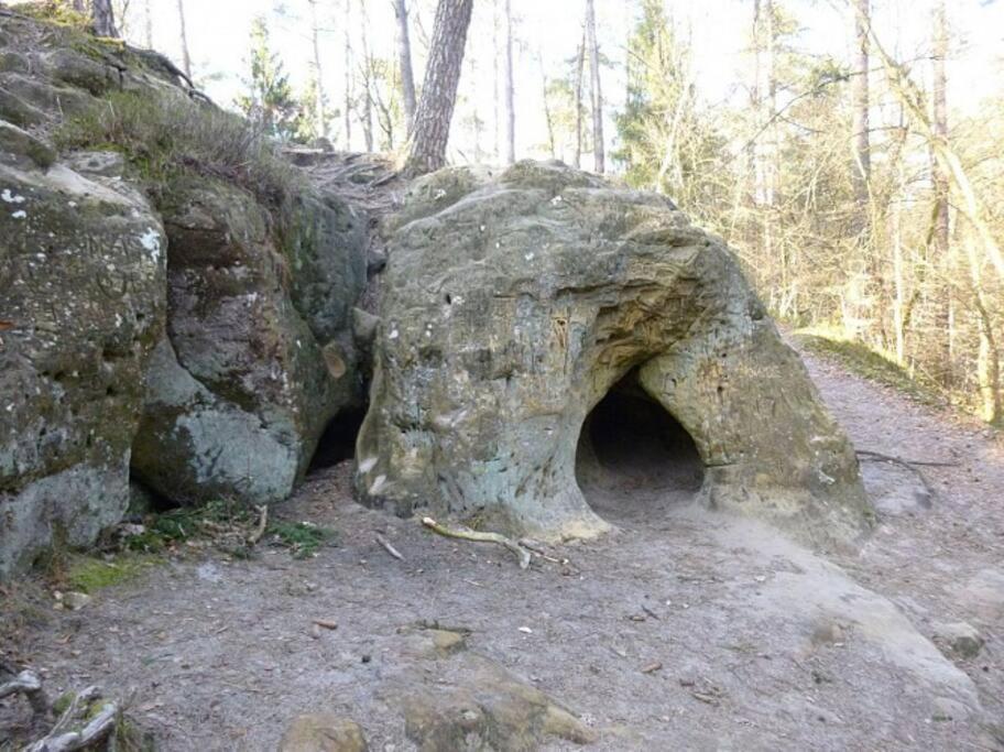 Le Repaire Des Renards Vallee De Rabais Virton Zewnętrze zdjęcie
