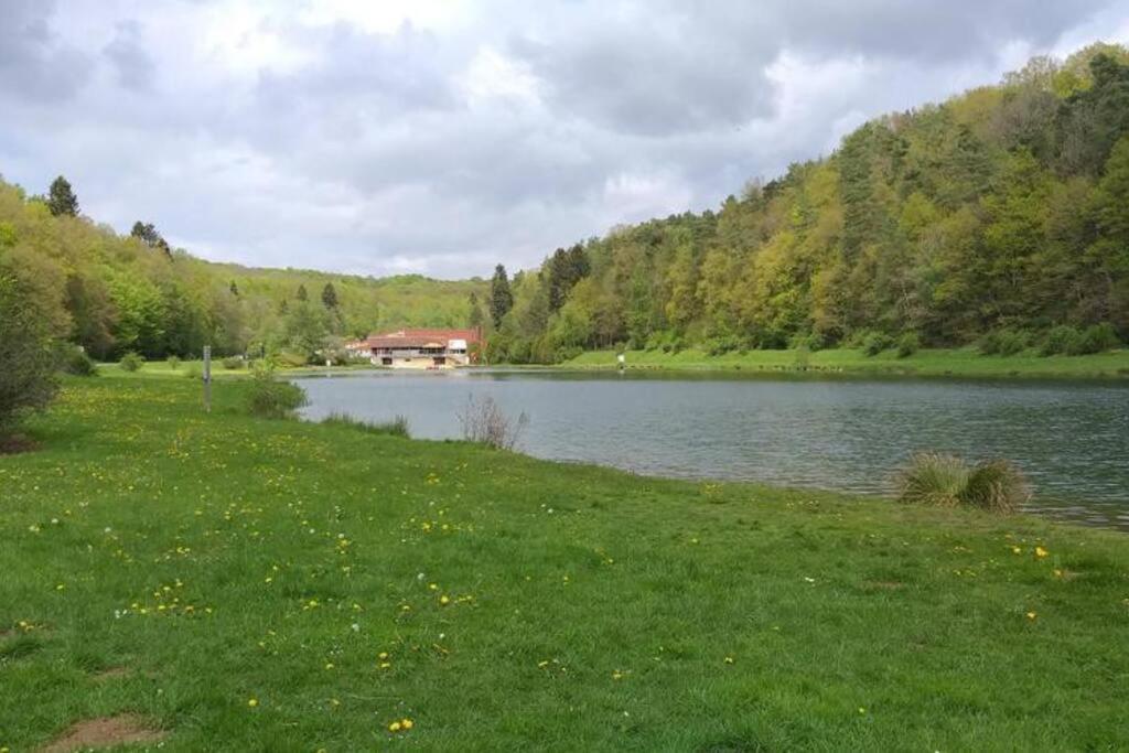 Le Repaire Des Renards Vallee De Rabais Virton Zewnętrze zdjęcie